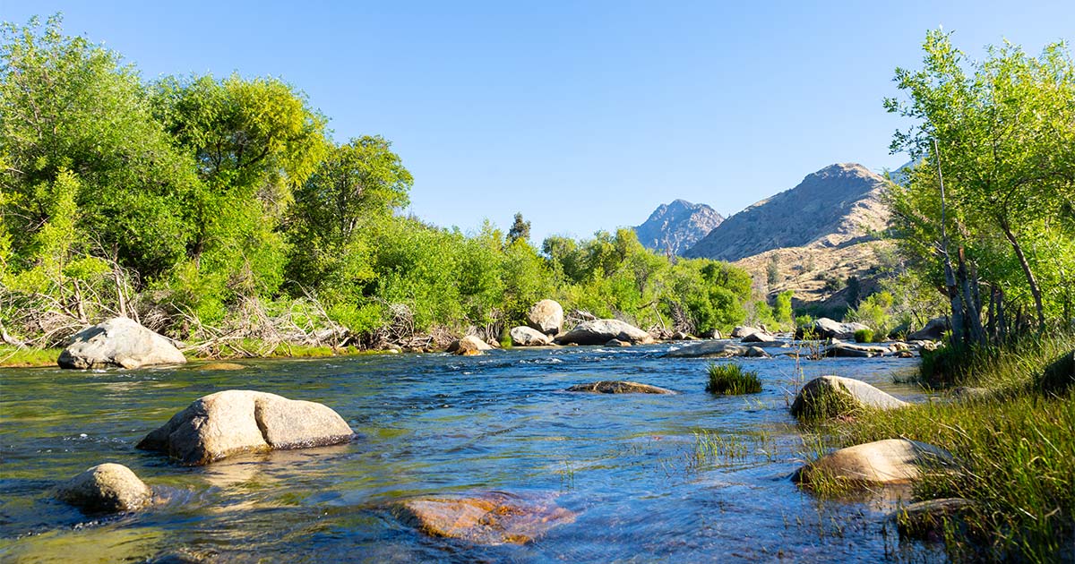 A view of the Kern River in Bakersfield, CA. 