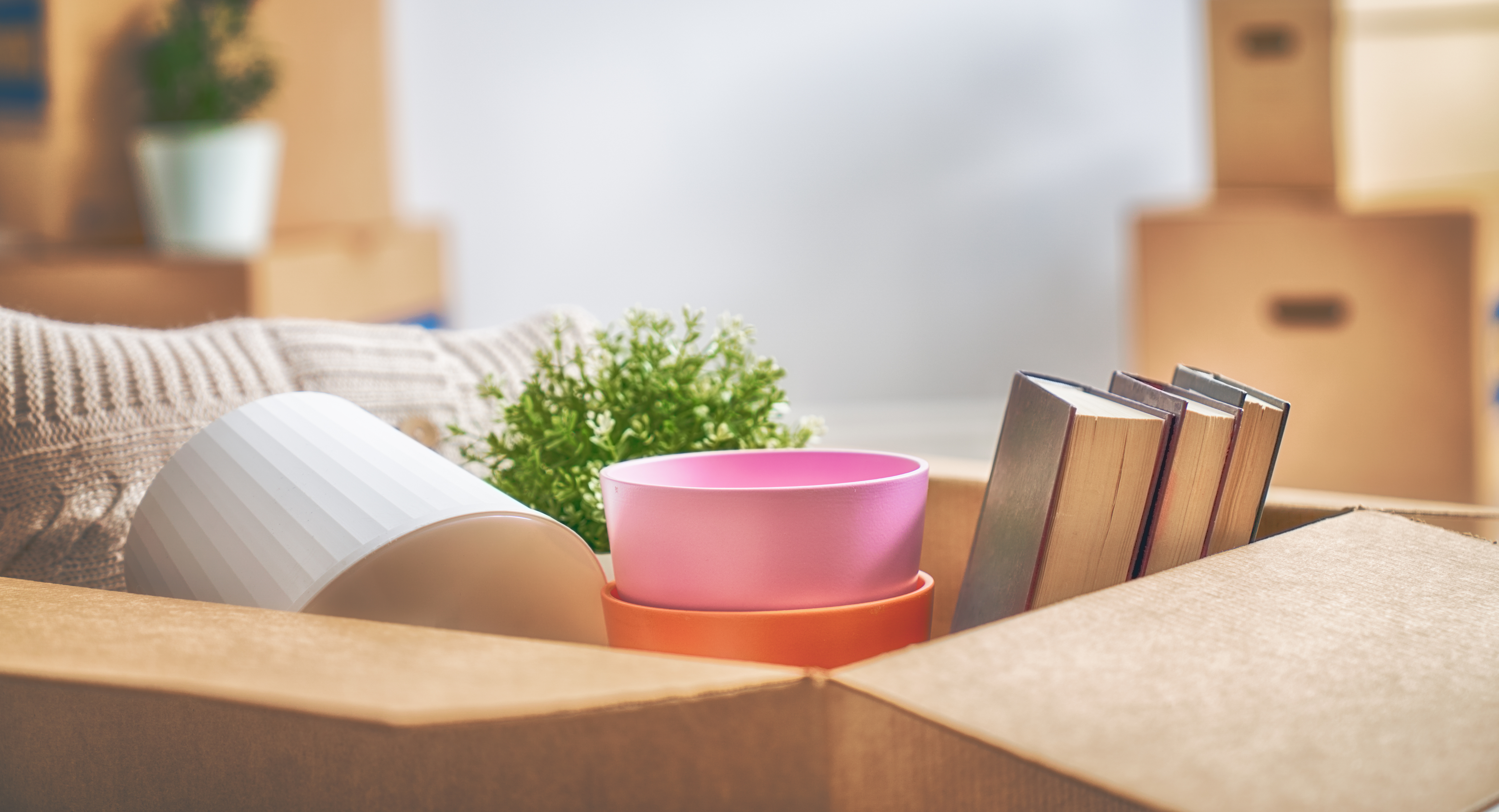 Box for moving and packing